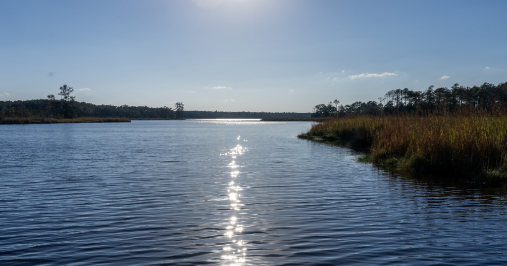image of the pamlico river